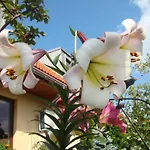 Apartman Sloneczna Polanka
