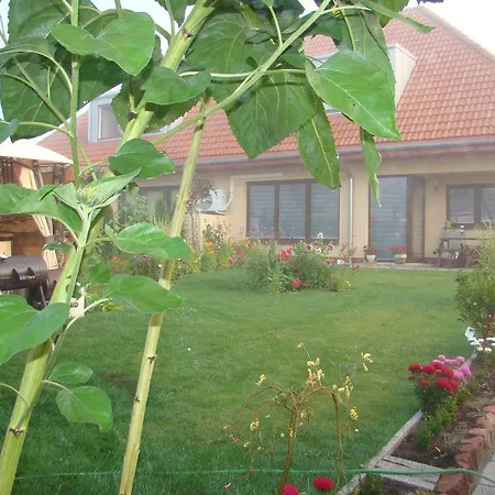 Sloneczna Polanka Apartment *