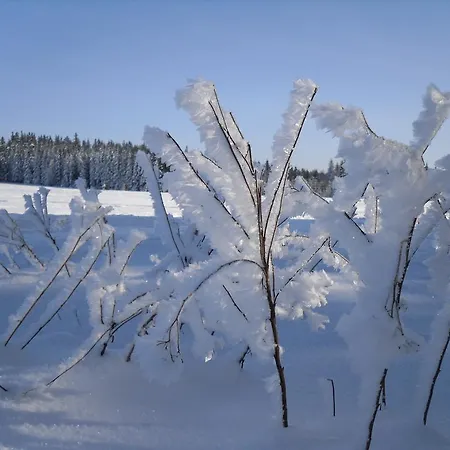 Sloneczna Polanka * פולניסה-ז'דוז'