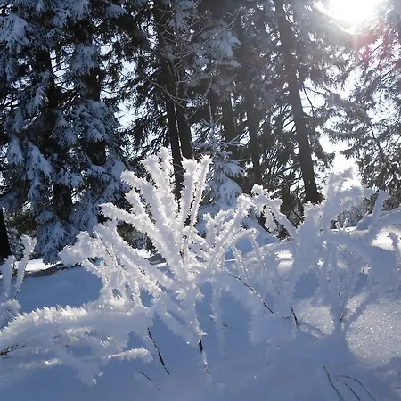 Sloneczna Polanka Lägenhet