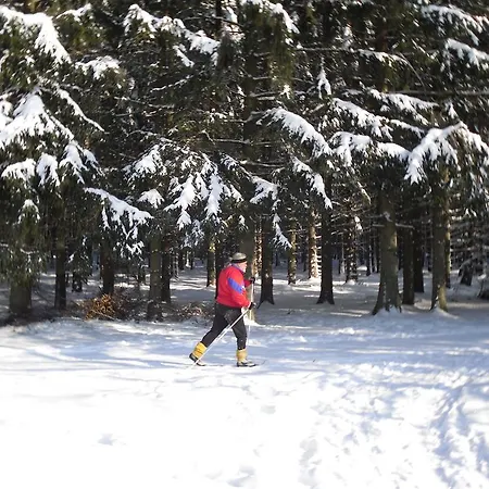 Sloneczna Polanka Lägenhet *