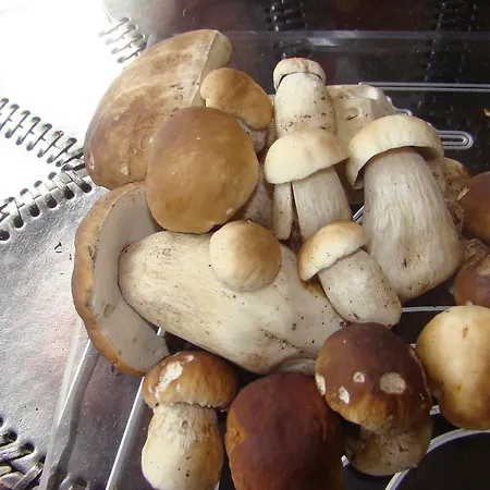 Lägenhet Sloneczna Polanka