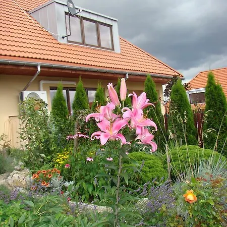 Sloneczna Polanka