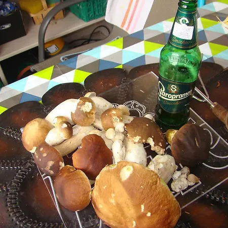 Lägenhet Sloneczna Polanka