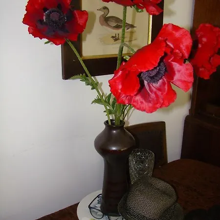 Sloneczna Polanka Apartment Bad Altheide