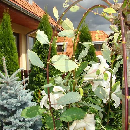 Sloneczna Polanka Apartment Bad Altheide