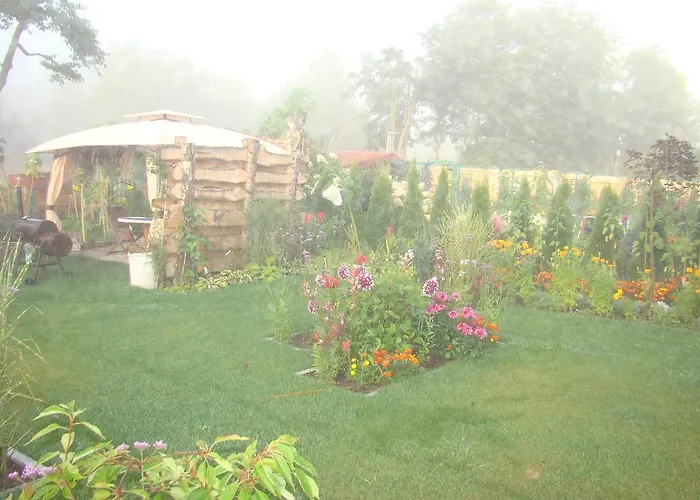 Daire Sloneczna Polanka