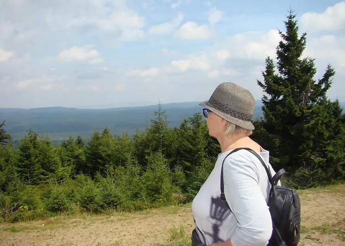 Daire Sloneczna Polanka