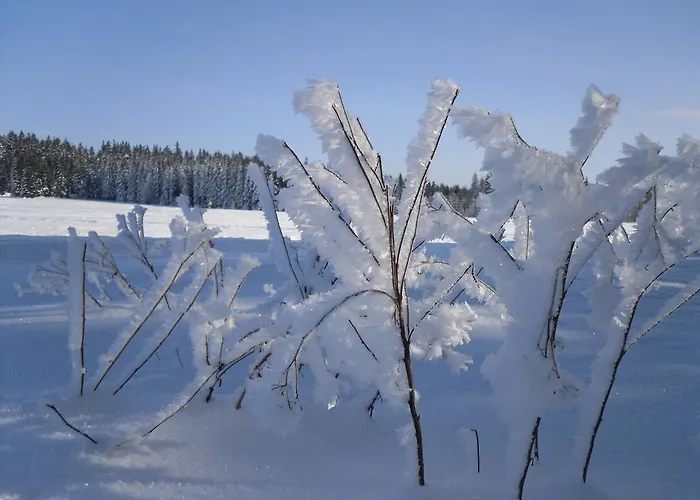 Sloneczna Polanka * 폴라니카-즈루이
