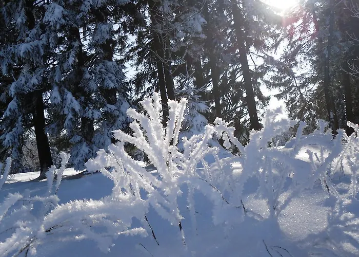 Sloneczna Polanka 아파트