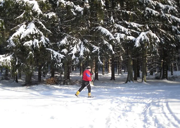 Sloneczna Polanka Daire *