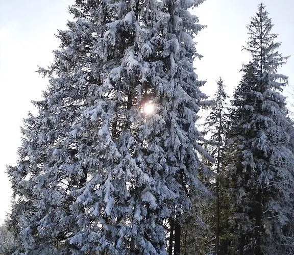 Sloneczna Polanka Polanica-Zdroj