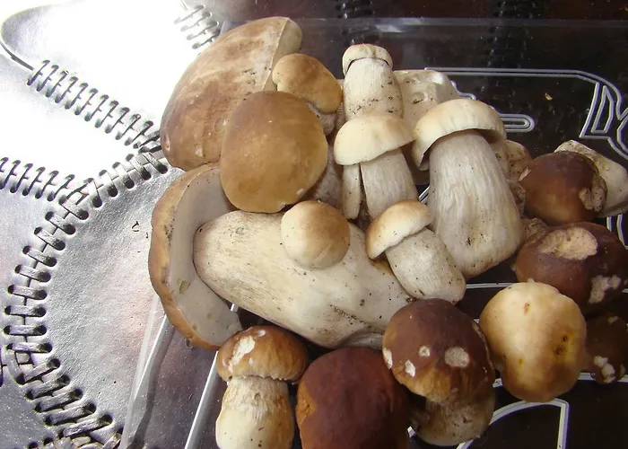 아파트 Sloneczna Polanka