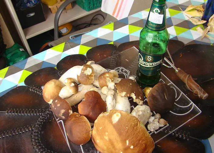 아파트 Sloneczna Polanka