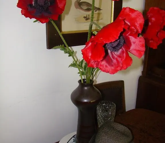 Sloneczna Polanka Daire Polanica-Zdroj